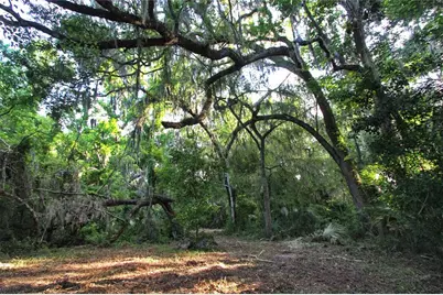 Tbd Cr 526, Sumterville, FL 33585 - Photo 16
