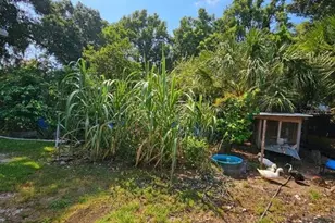 16800 SE 249th Terrace, Umatilla, FL 32784 - Photo 36