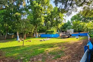 16800 SE 249th Terrace, Umatilla, FL 32784 - Photo 38