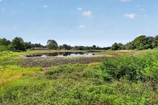 37406 Turner Dr, Umatilla, FL 32784 - Photo 2