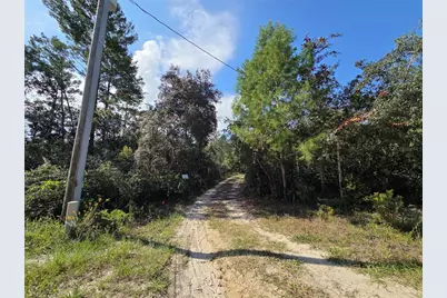 27016 Fishermans Road, Paisley, FL 32767 - Photo 6