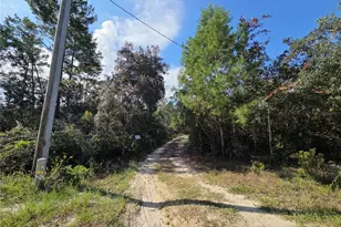 27016 Fishermans Rd, Paisley, FL 32767 - Photo 6