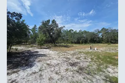 27016 Fishermans Road, Paisley, FL 32767 - Photo 20