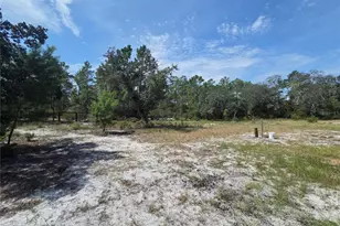 27016 Fishermans Rd, Paisley, FL 32767 - Photo 20