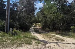 27016 Fishermans Rd, Paisley, FL 32767 - Photo 16