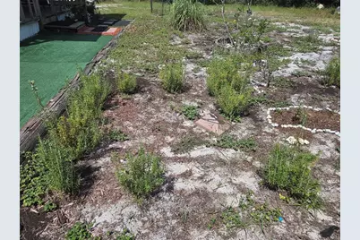 27016 Fishermans Road, Paisley, FL 32767 - Photo 8