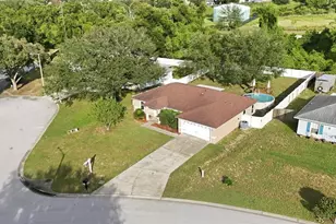 236 Country Lakes Cir, Groveland, FL 34736 - Photo 42