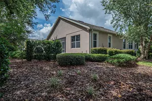 134 Flame Vine Way, Groveland, FL 34736 - Photo 62