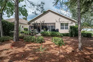 134 Flame Vine Way, Groveland, FL 34736 - Photo 60