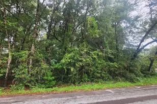 3874 S Gemini Point, Homosassa, FL 34448 - Photo 1