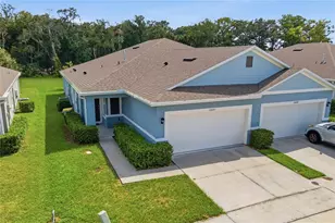 20043 Royal Tern Ct, Leesburg, FL 34748 - Photo 1