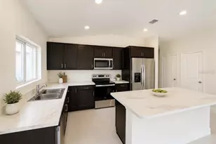 20332 Lavender Bloom Loop, Mount Dora, FL 32757 - Photo 2