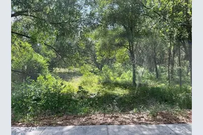 [Address not provided], Leesburg, FL 34748 - Photo 2