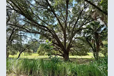 11324 Em En El Grove Road, Leesburg, FL 34788 - Photo 4