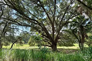 11324 Em En El Grove Rd, Leesburg, FL 34788 - Photo 4