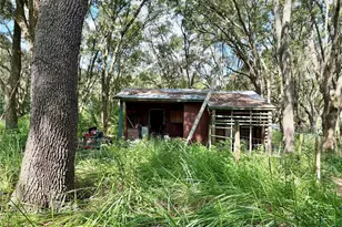 11324 Em En El Grove Rd, Leesburg, FL 34788 - Photo 22