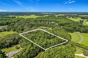 10620 NE 104th Cir, Oxford, FL 34484 - Photo 4