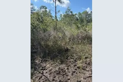 37610 Oaklee Road, Umatilla, FL 32784 - Photo 10