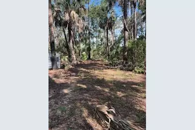 37610 Oaklee Road, Umatilla, FL 32784 - Photo 4