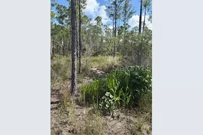 37610 Oaklee Road, Umatilla, FL 32784 - Photo 6