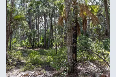 37610 Oaklee Road, Umatilla, FL 32784 - Photo 18