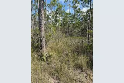 37610 Oaklee Road, Umatilla, FL 32784 - Photo 8