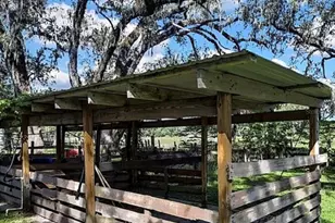 4457 Cr 542H, Bushnell, FL 33513 - Photo 98