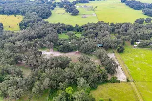 4457 Cr 542H, Bushnell, FL 33513 - Photo 70