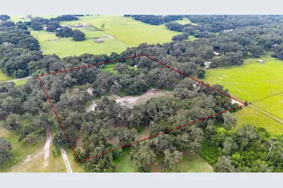 4457 Cr 542H, Bushnell, FL 33513 - Photo 70