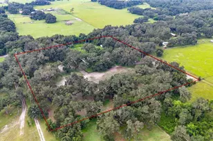 4457 Cr 542H, Bushnell, FL 33513 - Photo 70