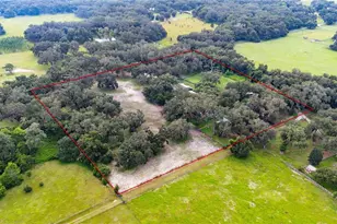 4457 Cr 542H, Bushnell, FL 33513 - Photo 68