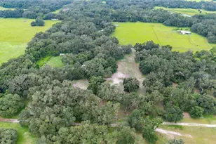 4457 Cr 542H, Bushnell, FL 33513 - Photo 72