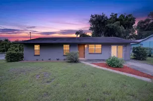 507 S Ohio Ave, Groveland, FL 34736 - Photo 1