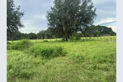 2231 Cr 543, Sumterville, FL 33585 - Photo 36
