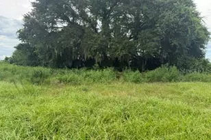 2231 Cr 543, Sumterville, FL 33585 - Photo 48