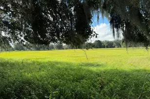 2231 Cr 543, Sumterville, FL 33585 - Photo 50