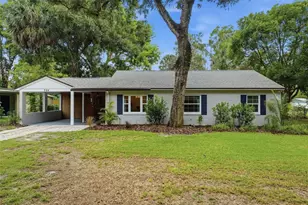 324 W 12th Ave, Mount Dora, FL 32757 - Photo 1