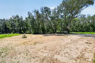 60 Guava Pass, Ocklawaha, FL 32179 - Photo 52