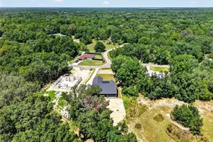 60 Guava Pass, Ocklawaha, FL 32179 - Photo 56