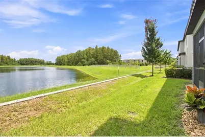 2213 Cerulean Sky Drive, Lutz, FL 33558 - Photo 42