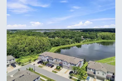 2213 Cerulean Sky Drive, Lutz, FL 33558 - Photo 48