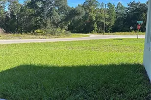 14 Fisher Ct, Ocklawaha, FL 32179 - Photo 32