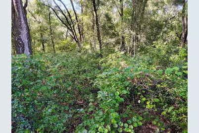 Sw 158th Lane, Dunnellon, FL 34432 - Photo 2