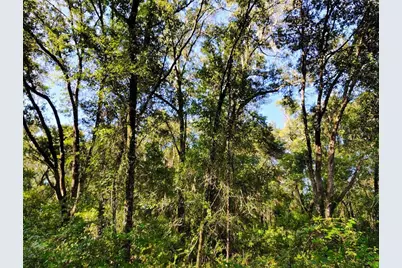Sw 158th Lane, Dunnellon, FL 34432 - Photo 4