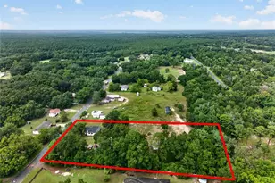 11855 SE 141 Terrace, Ocklawaha, FL 32179 - Photo 48