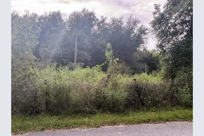 Hwy 50 & Cr 751, Webster, FL 33597 - Photo 14