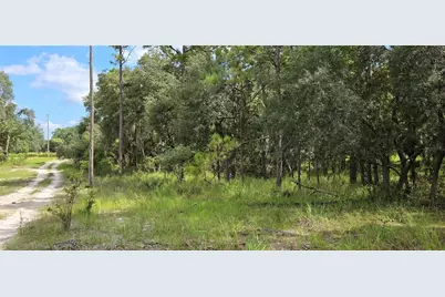 10400 E Moccasin Slough Road, Inverness, FL 34450 - Photo 2