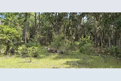 10400 E Moccasin Slough Road, Inverness, FL 34450 - Photo 6