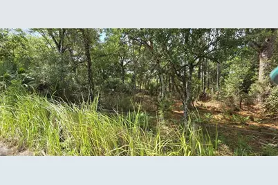 10442 E Moccasin Slough Road, Inverness, FL 34450 - Photo 6