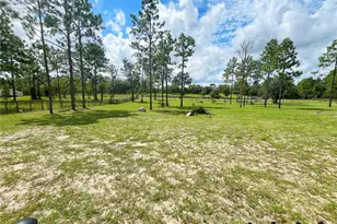 13591 SE 85th Pl, Dunnellon, FL 34431 - Photo 46